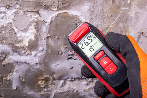 Best Mold Remediation Services  in Glassmanor, MD