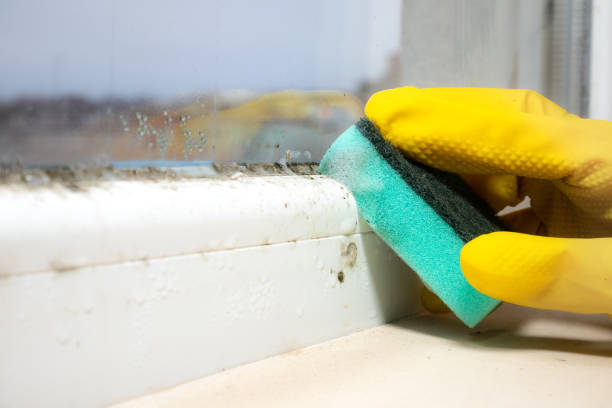 Best Certified Mold Removal  in Glassmanor, MD